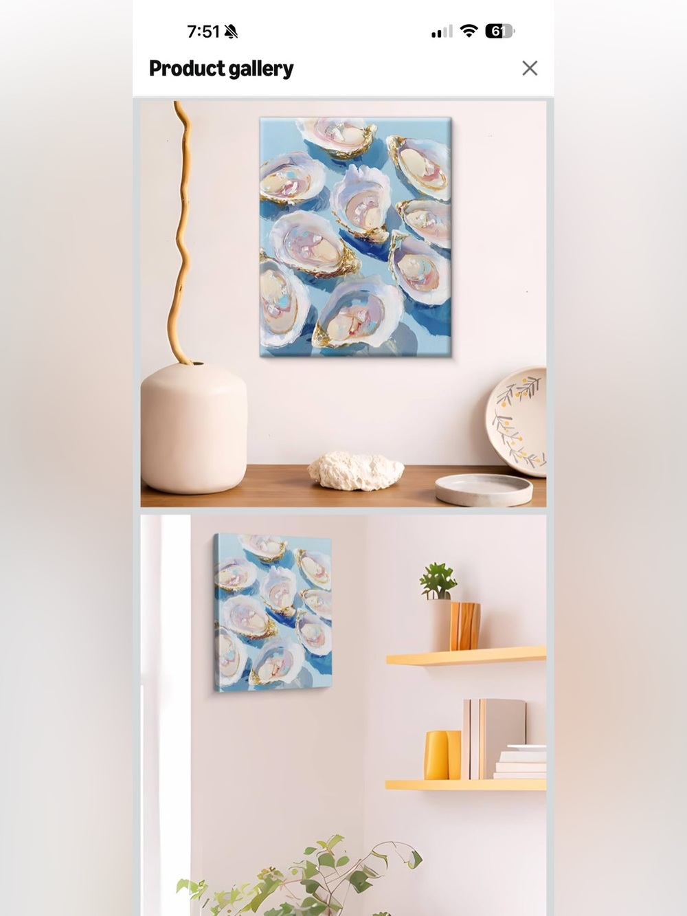 Coastal Oyster Shell Blue Canvas Wall Art